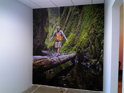 Tacoma, Gig Harbor, Seattle area wallcovering, wallpaper, and mural installation.